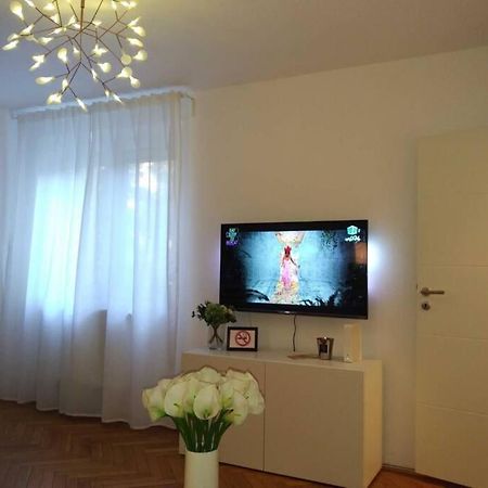 Art & Design Apt - City Center Тимишоара Екстериор снимка