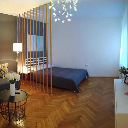 Art & Design Apt - City Center Тимишоара Екстериор снимка