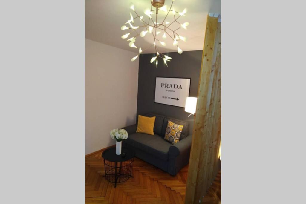 Art & Design Apt - City Center Тимишоара Екстериор снимка