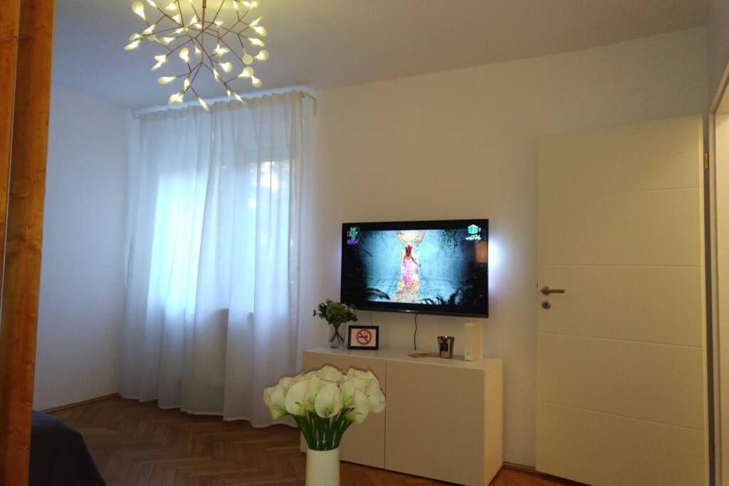 Art & Design Apt - City Center Тимишоара Екстериор снимка