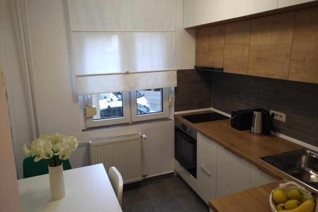 Art & Design Apt - City Center Тимишоара Екстериор снимка
